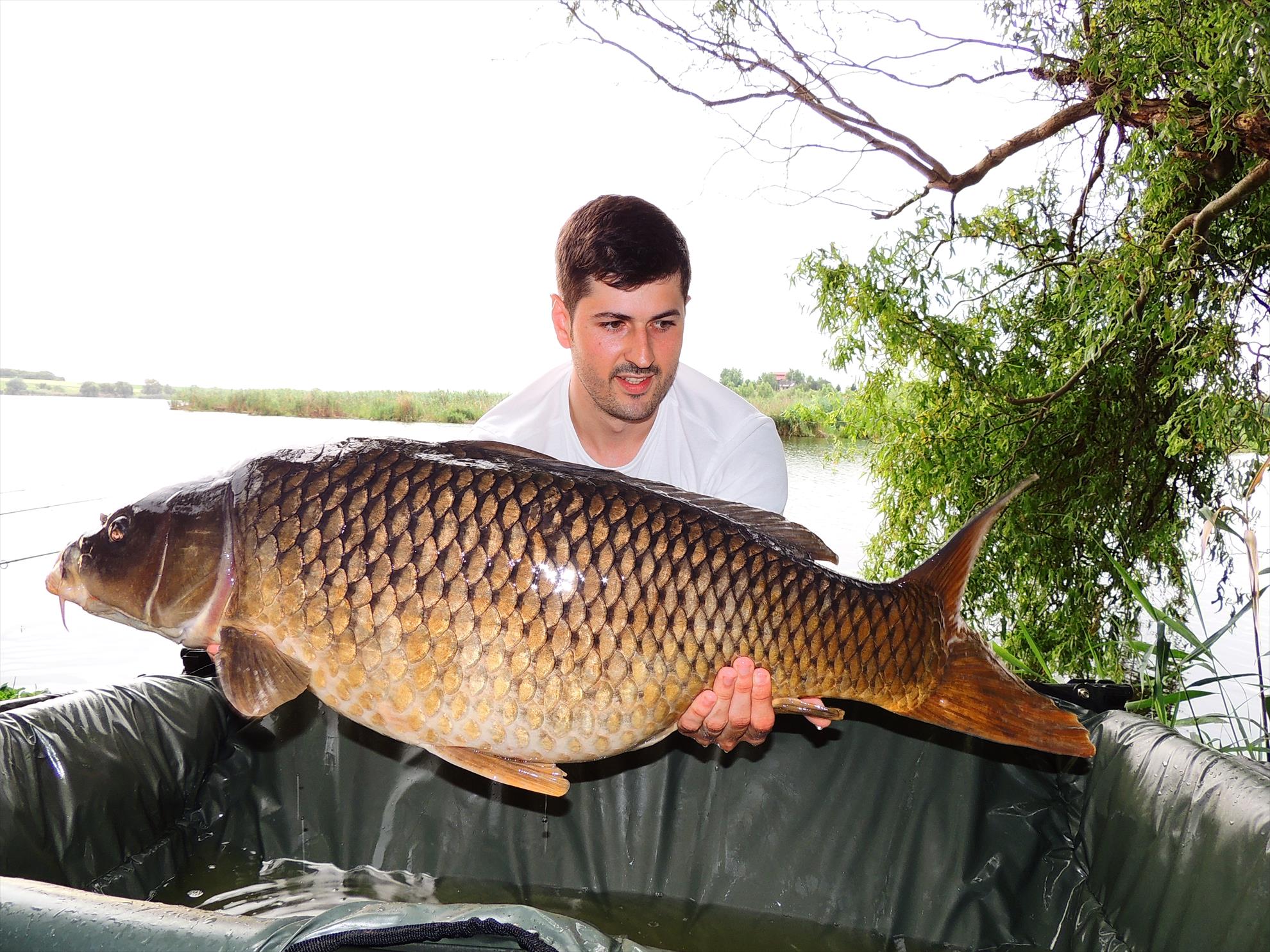 Tancabesti 14 - 16 iunie 2015 - dscn6811.JPG